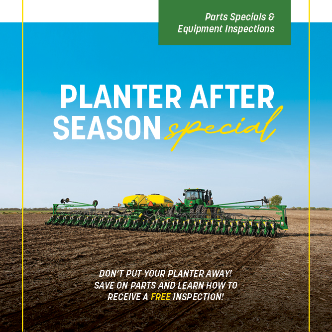 Summer Planter Special
